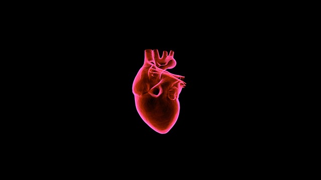 cardiac imaging tech